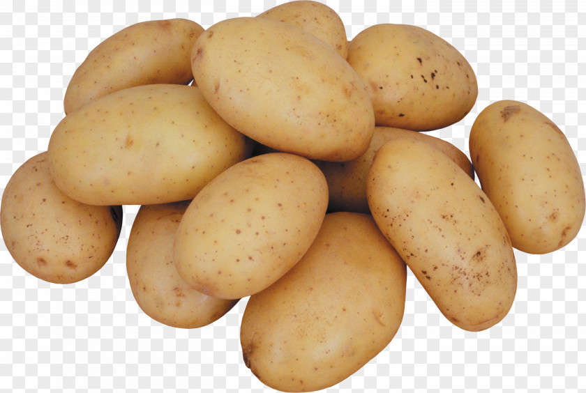 Potato PNG clipart PNG