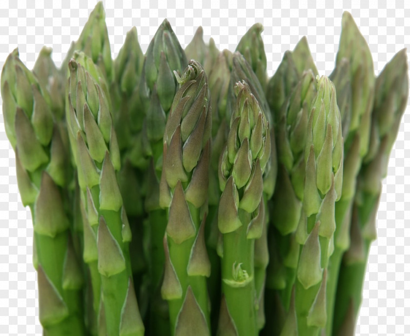 Vegetable Asparagus Herb Food Health PNG