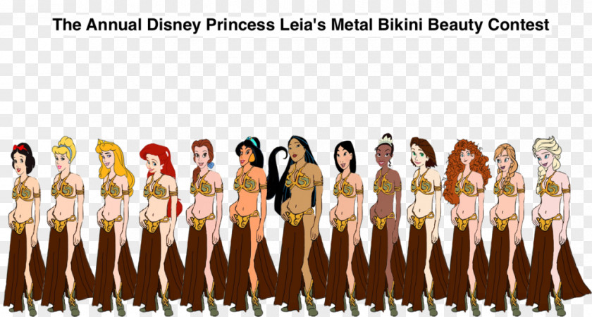 Anna Leia Organa Princess Aurora Ariel Elsa PNG