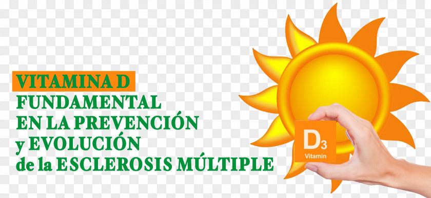 D Vitamin Multiple Sclerosis Hypovitaminosis PNG