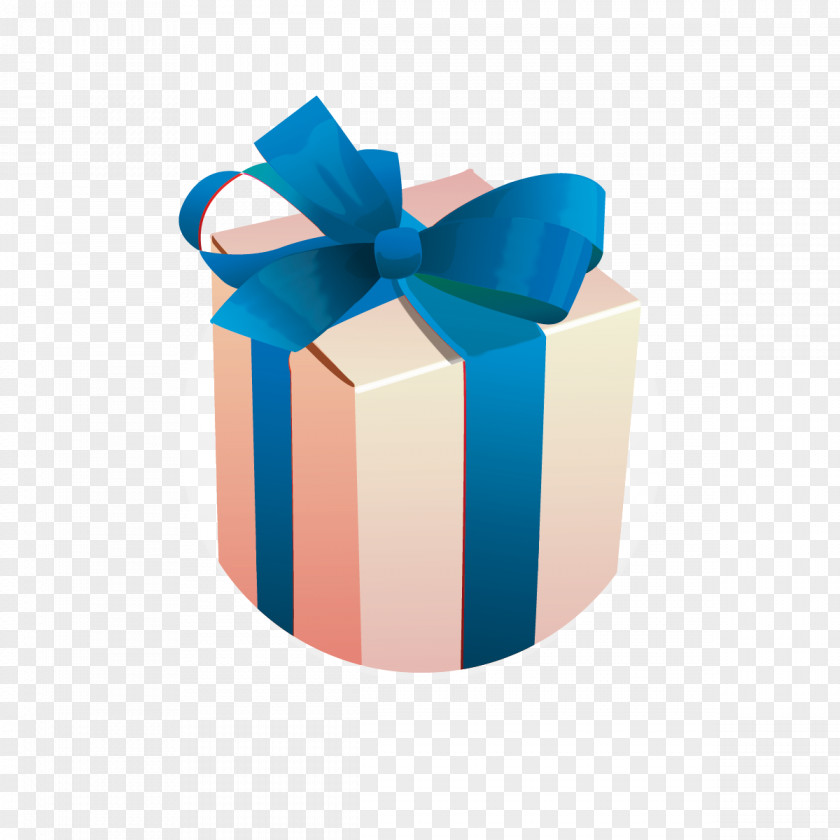 Gift Christmas Day Box Birthday Download PNG