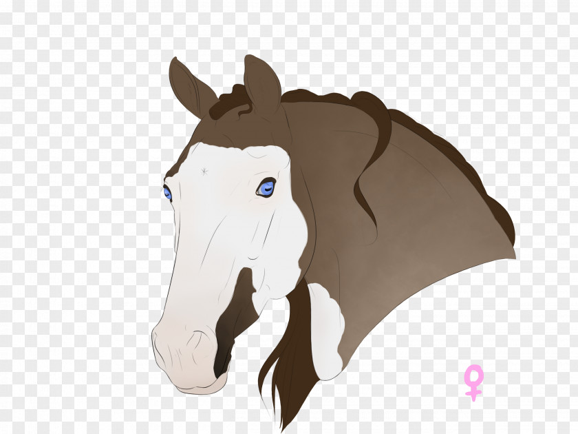 Horse Nose PNG