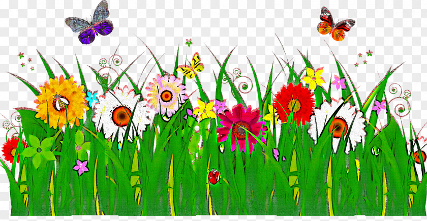 Meadow Wildflower Plant Flower Grass PNG