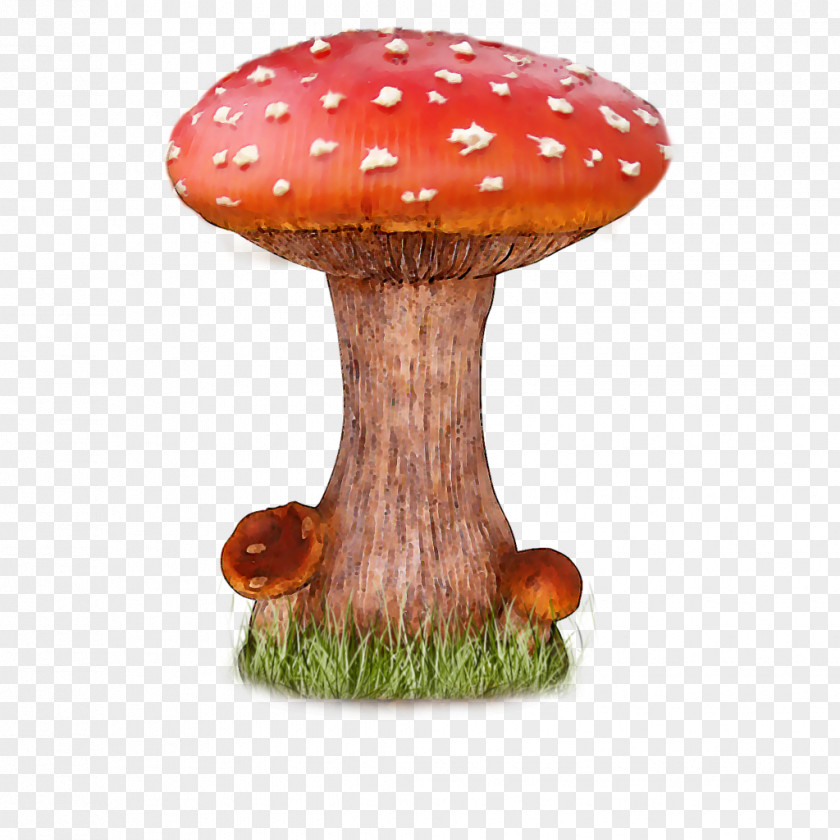 Mushroom File Clip Art PNG