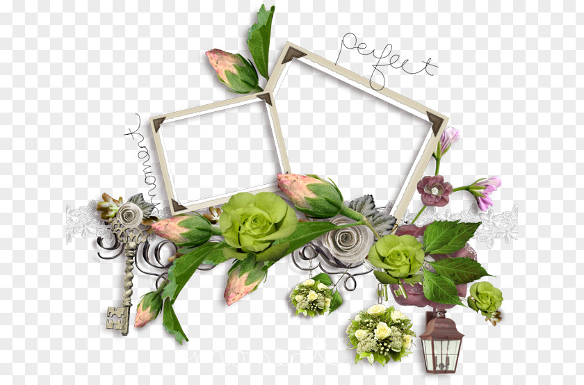 Picture Frames Floral Design Flower PNG