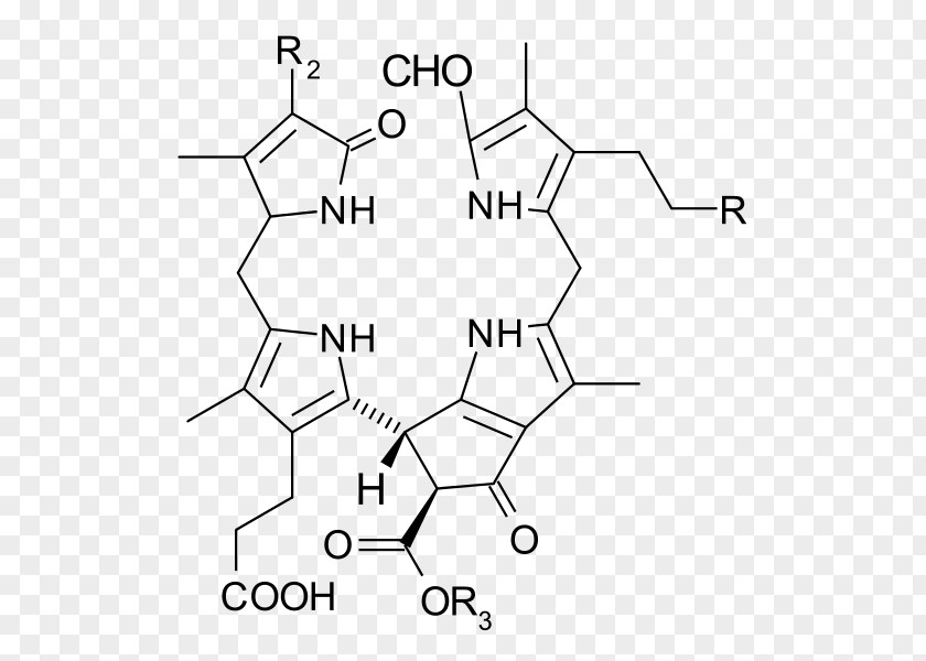 Plant Chlorophyll A Fluorescence Chemical Compound Green PNG