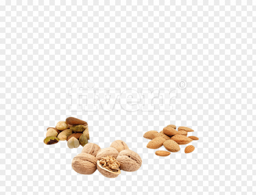 Cashew Family Cuisine Tree Background PNG