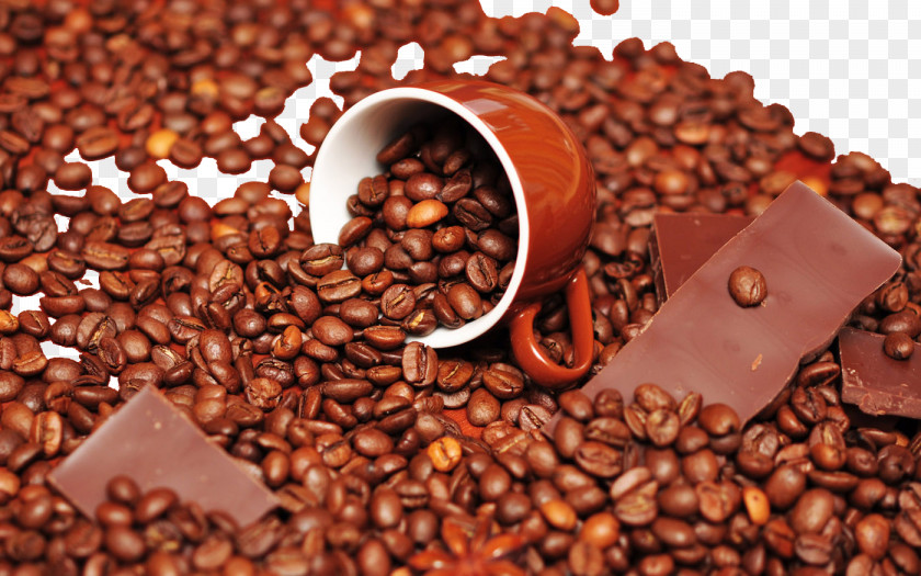 Montreal Coffee Beans Chocolate-covered Bean Chocolate Milk Cupcake PNG