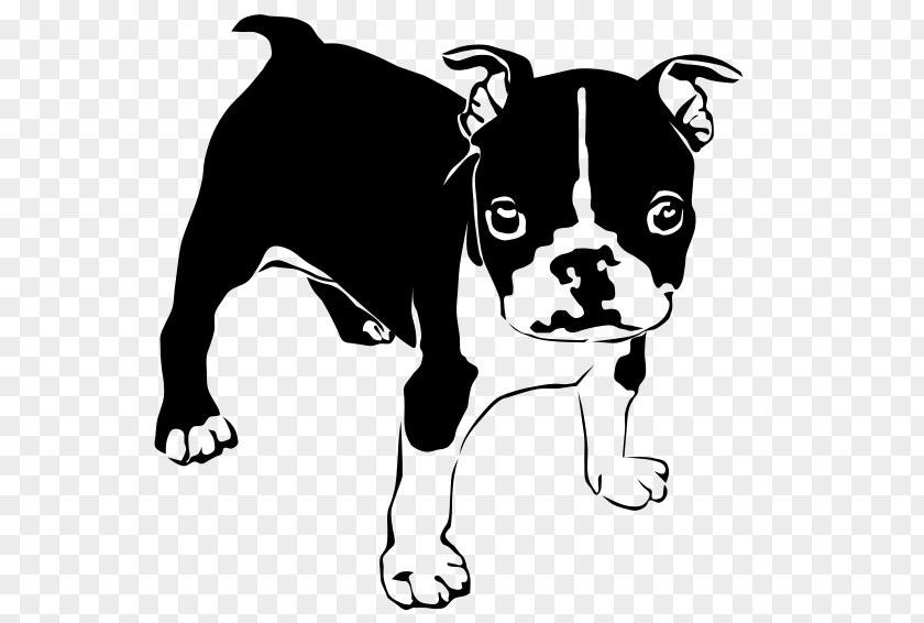Puppy French Bulldog American Boston Terrier PNG