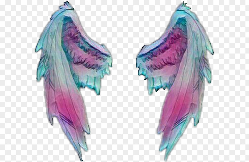 Angel Wings Sticker Wing Desktop Wallpaper PNG
