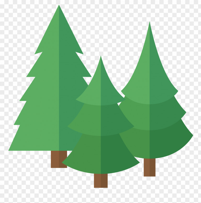 Christmas Tree Fir Pine Spruce PNG