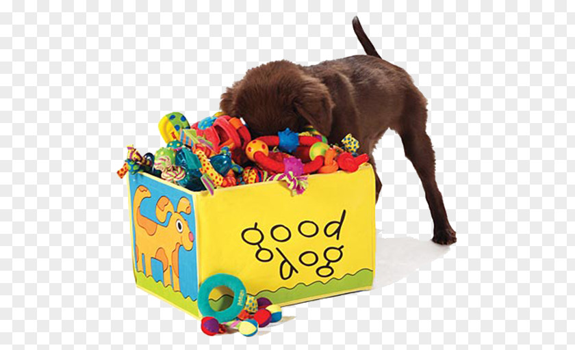 Dog Toys Puppy Crate PNG