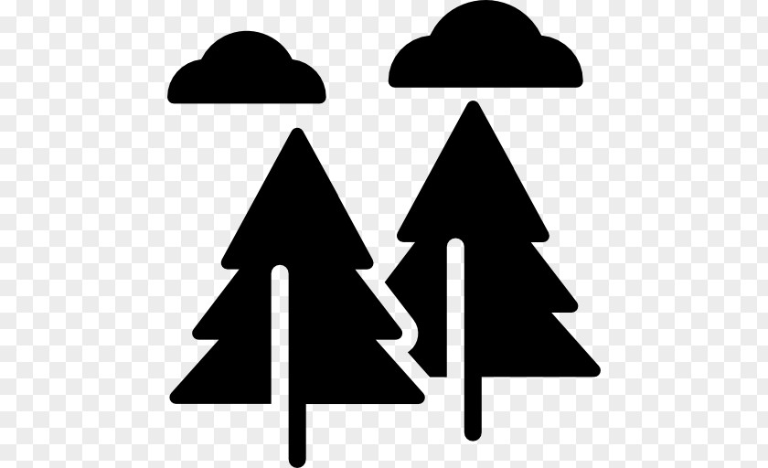 Forest Icon Evergreen Home Cleaning Clip Art PNG