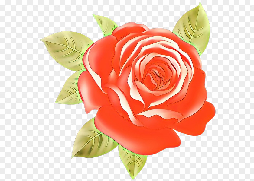 Garden Roses PNG