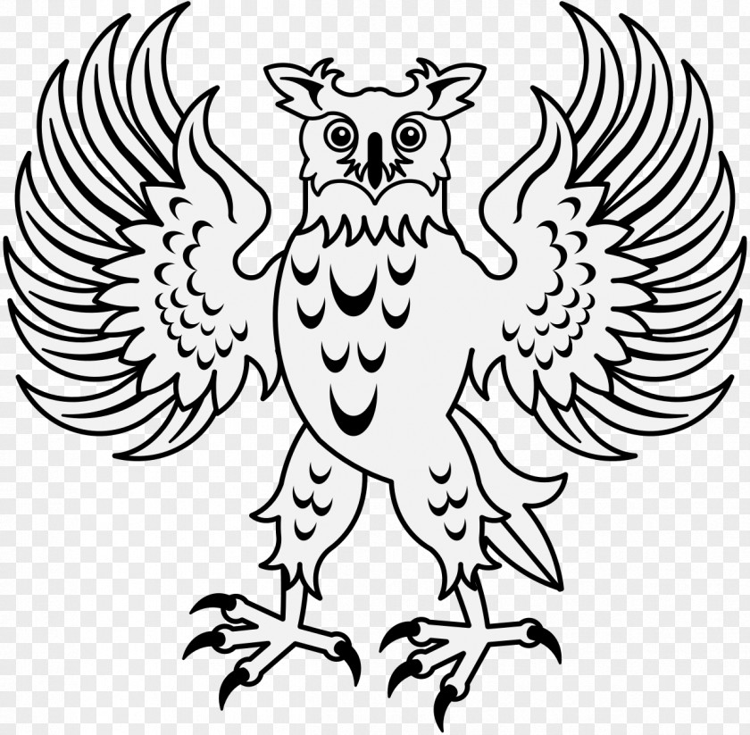 Owl Clip Art Bird Beak PNG