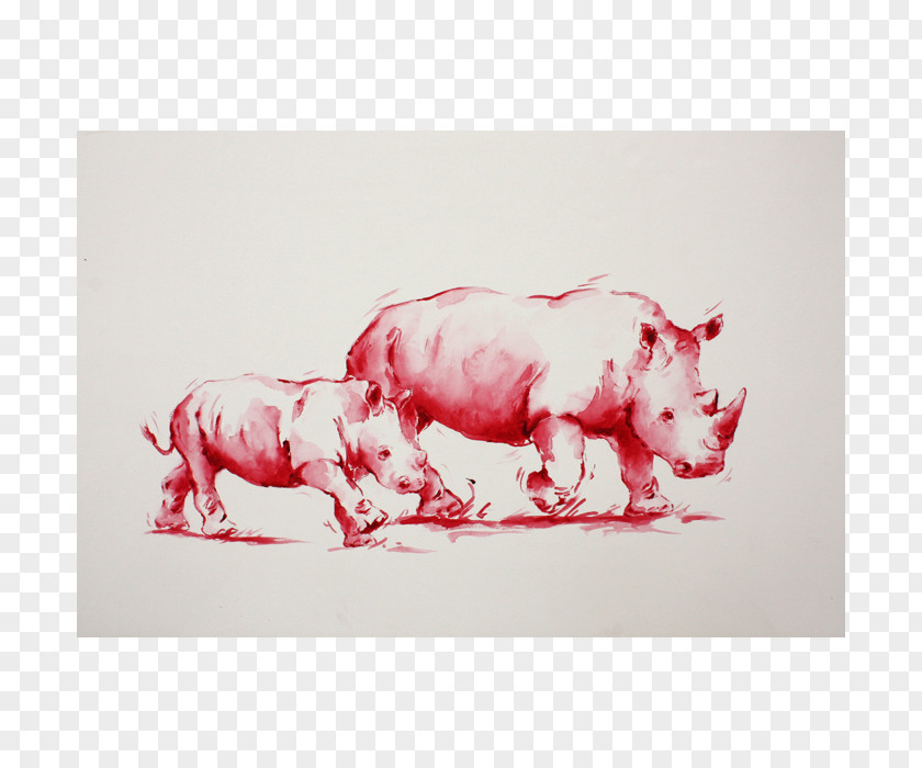 Pig Cattle Drawing /m/02csf Snout PNG