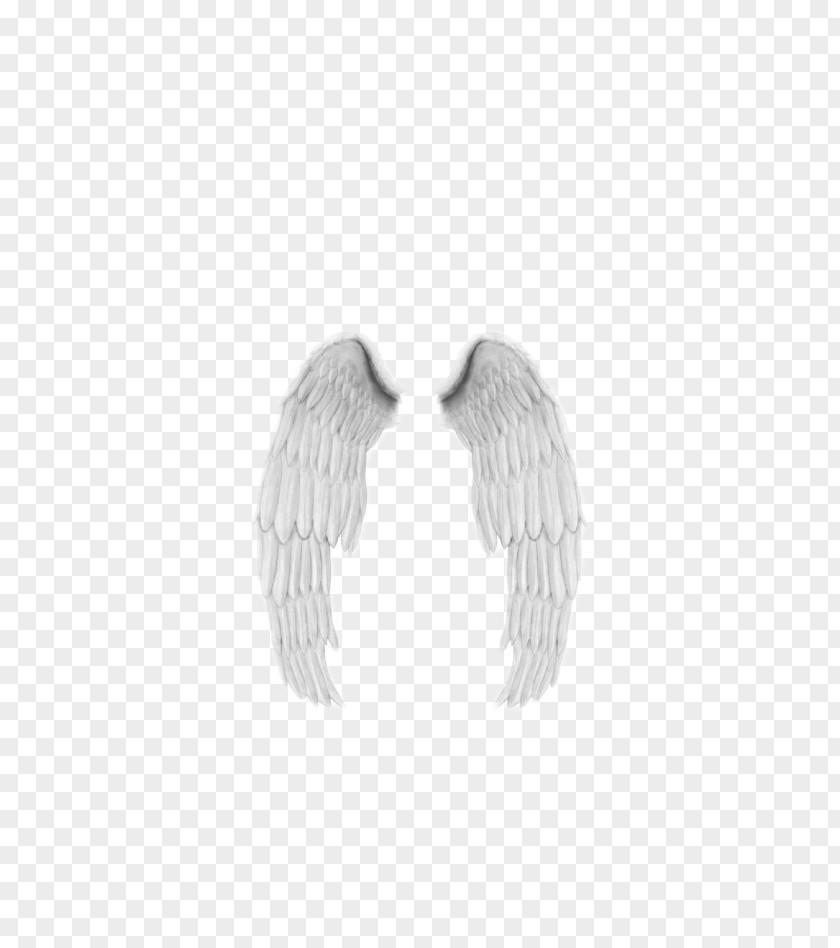 Doll Angel Wings Feather Polyvore PNG