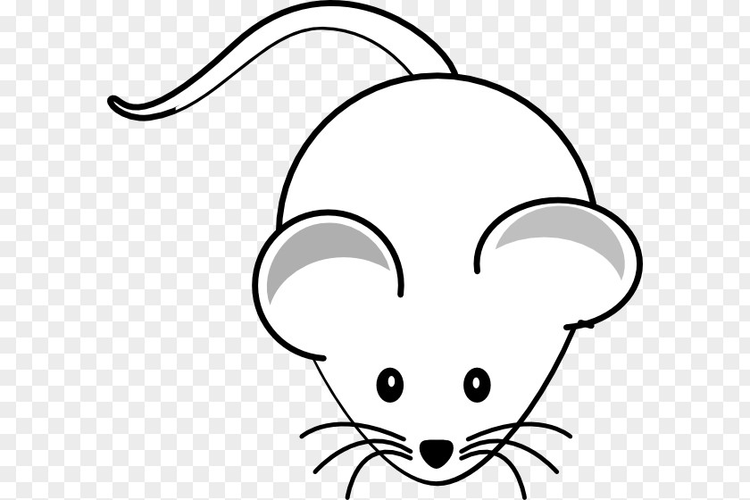 Mouse Computer Mickey Minnie Clip Art PNG