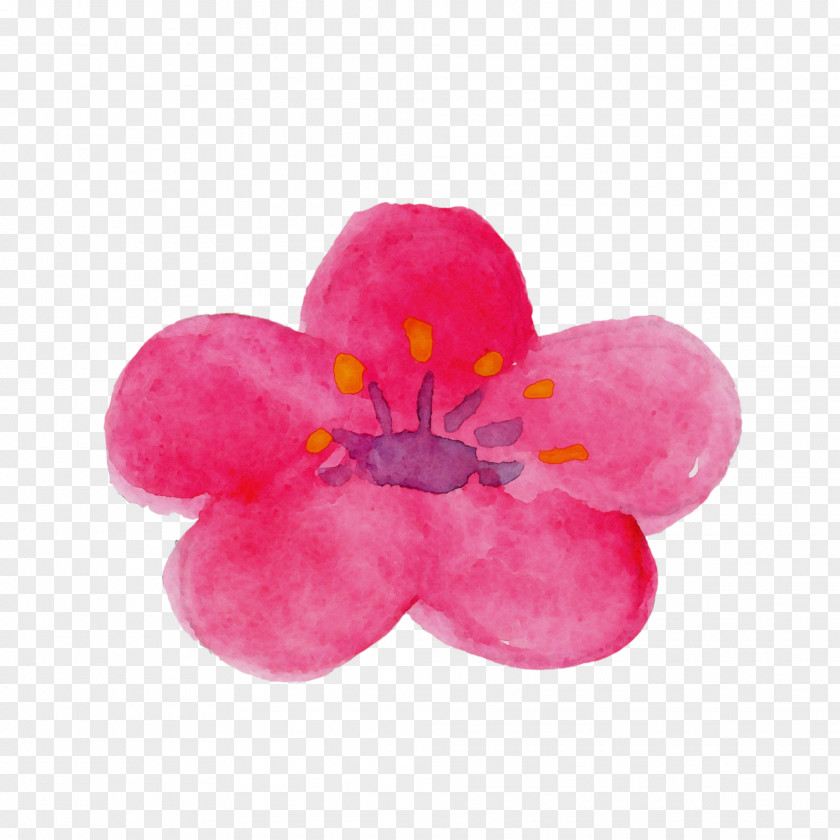 Pink Petal Flower Plant Impatiens PNG