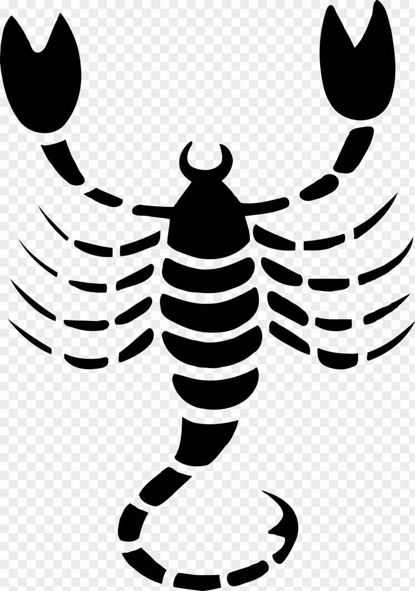 Scorpion Astrological Sign Astrology Zodiac PNG