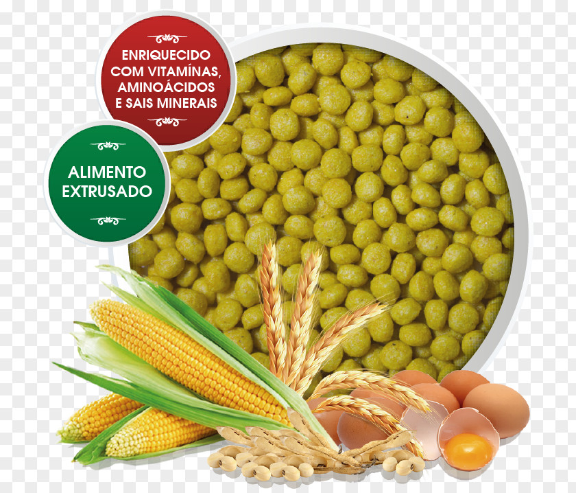 Arara Soybean Meal Maize Seed Oil PNG