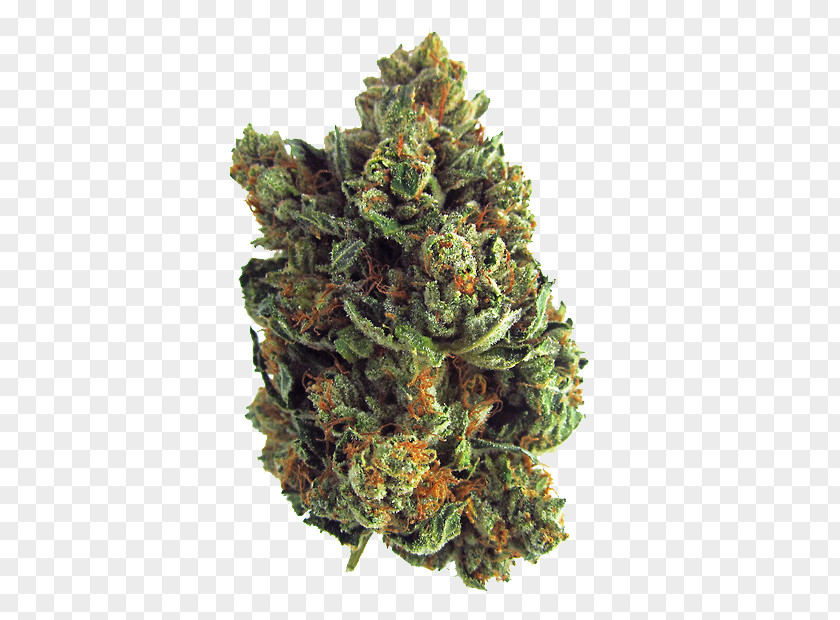 Cannabis Cup Kush Medical Joint PNG