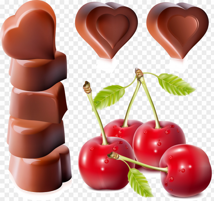 Chocolate And Cherries Cake Chocolate-covered Cherry PNG
