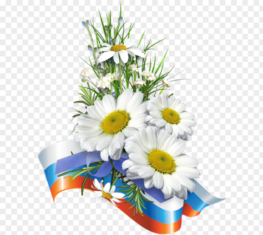 Flower Common Daisy Happiness Cut Flowers Love PNG