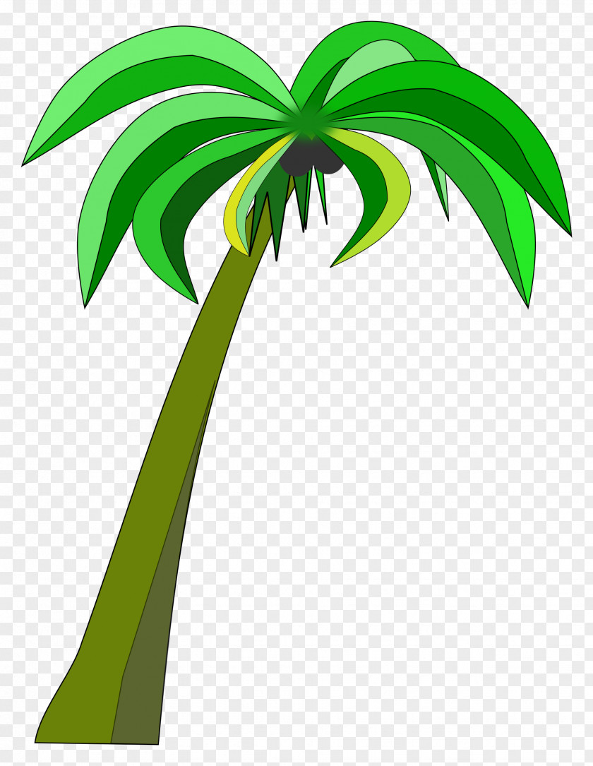 Palm Tree Coconut Arecaceae Clip Art PNG