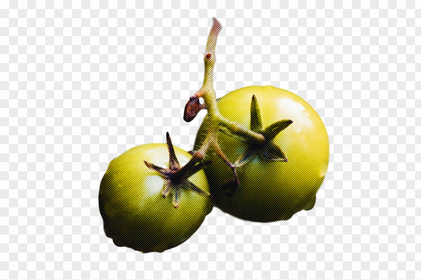 Vegetable Fruit Apple PNG