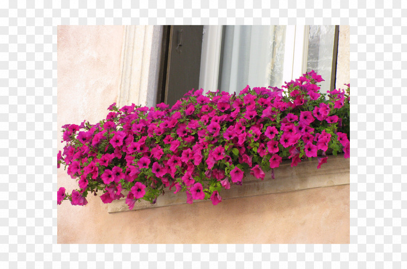 Window Box Floral Design Flowerpot PNG