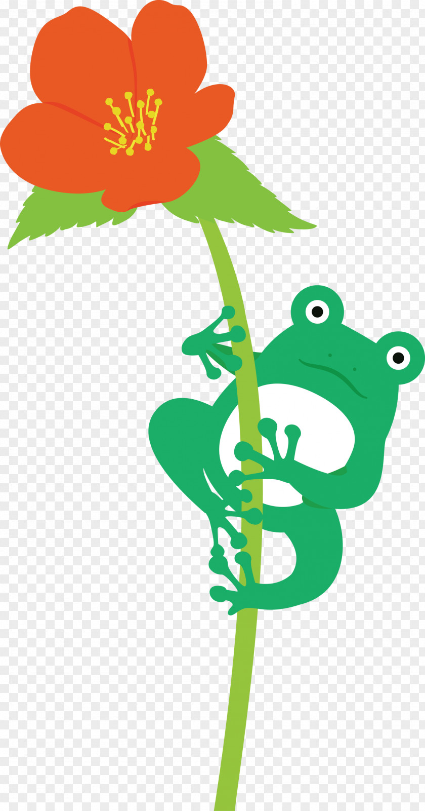 Flower Plant Stem Leaf Petal Tree Frog PNG