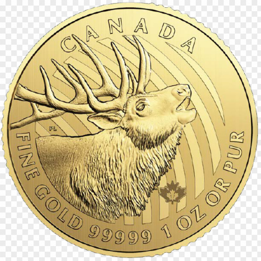 Golden Elk Canada Canadian Gold Maple Leaf Bullion Coin Royal Mint PNG