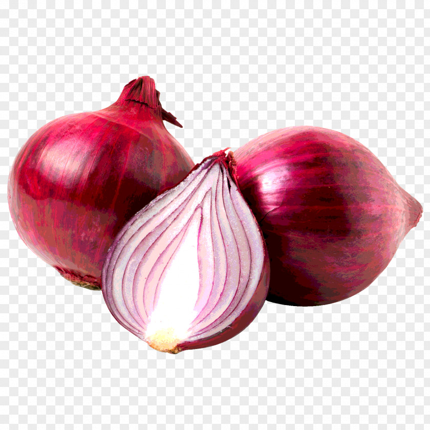 Onion Red White Vegetable Garlic PNG