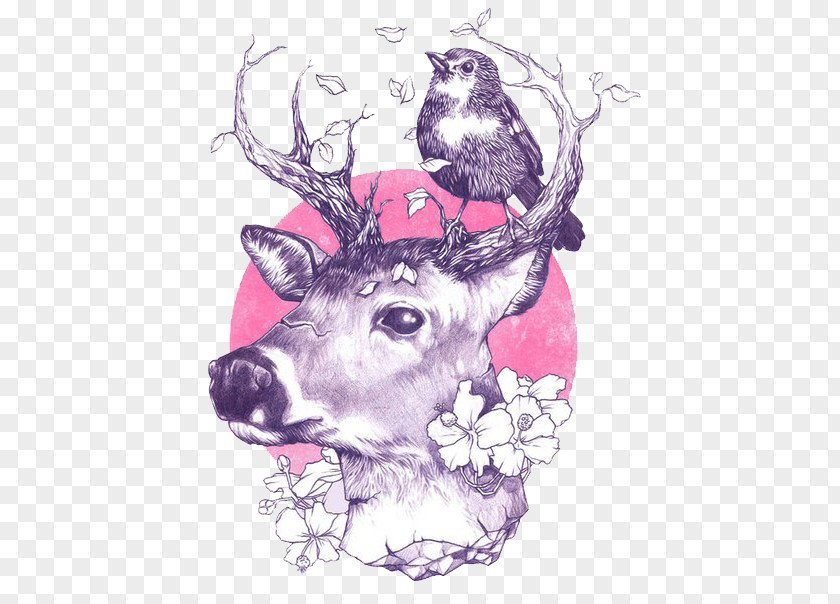 Deer Art Drawing Printmaking PNG