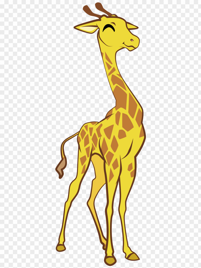 Jungle Safari Northern Giraffe South African Wildlife Clip Art PNG