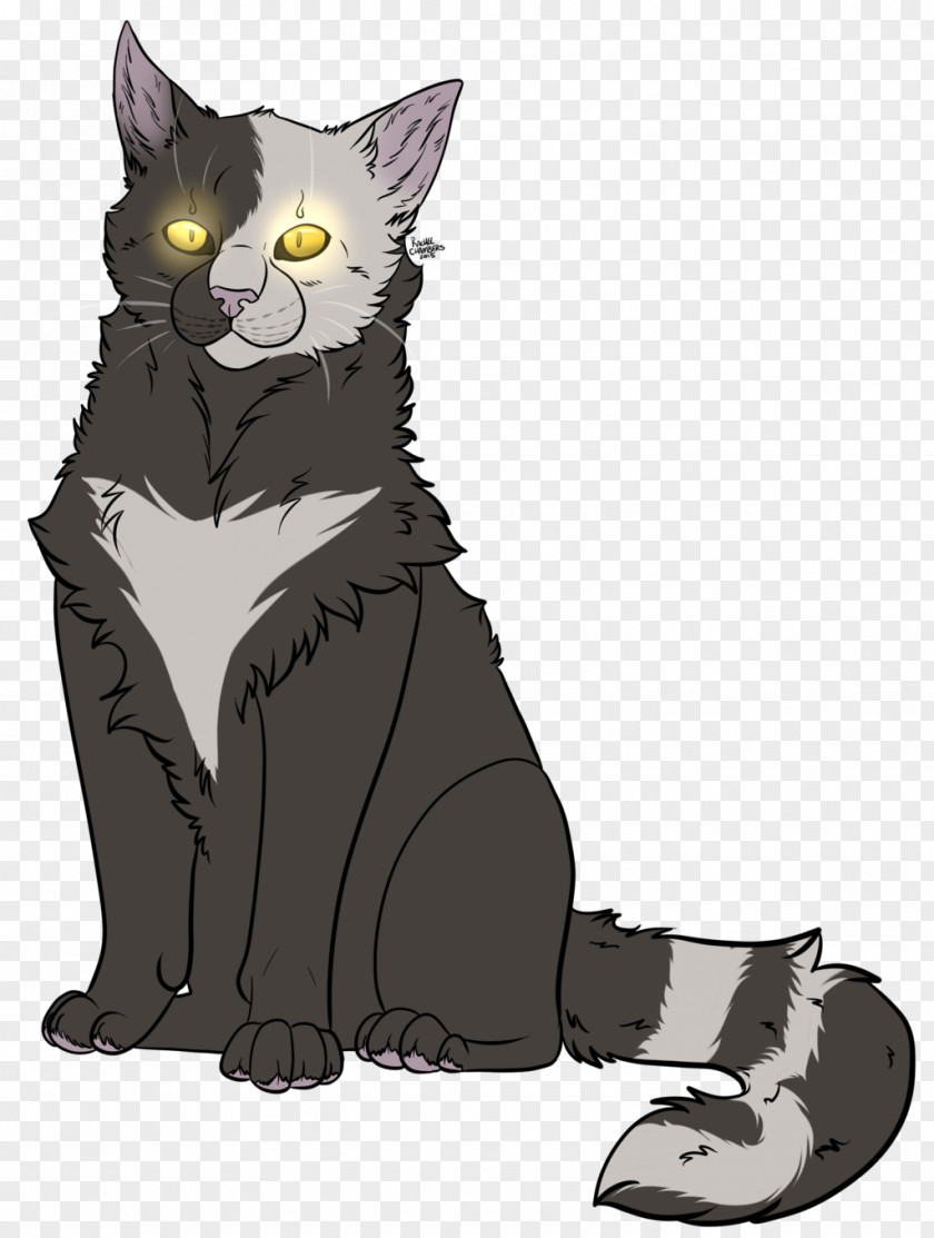 Kitten Whiskers Domestic Short-haired Cat Black Tabby PNG