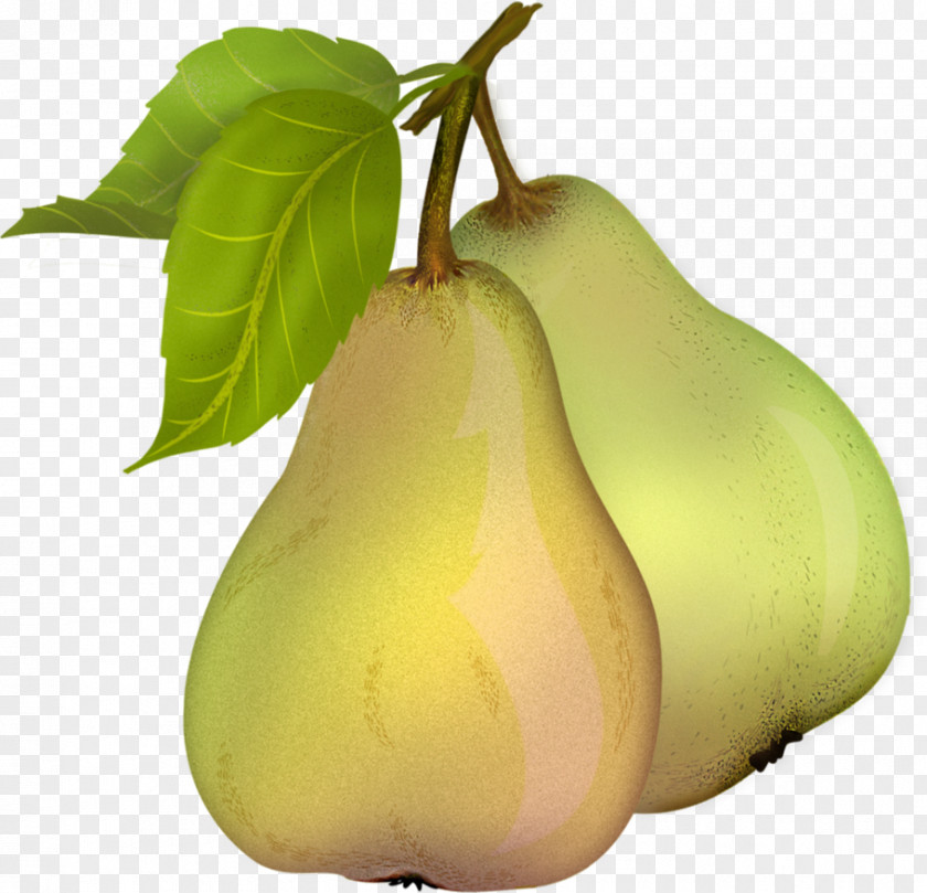 Pear Free Download Clip Art PNG