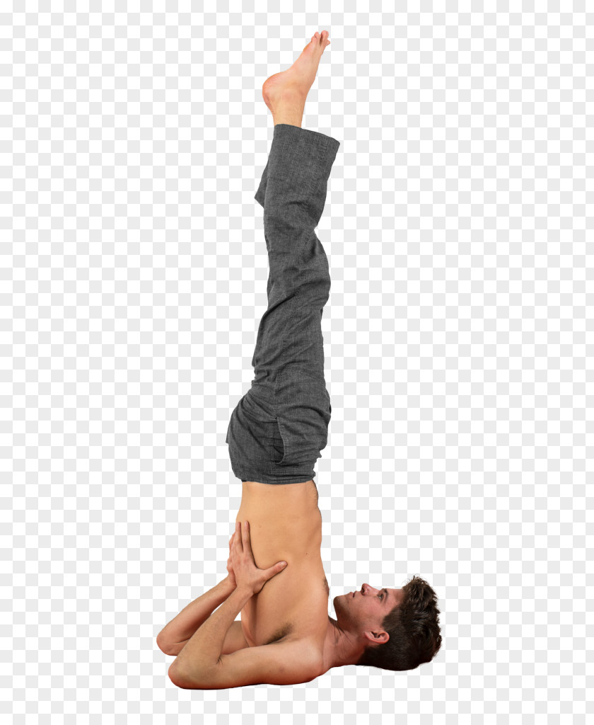 Yoga Sarvangasana Vinyāsa Posture PNG