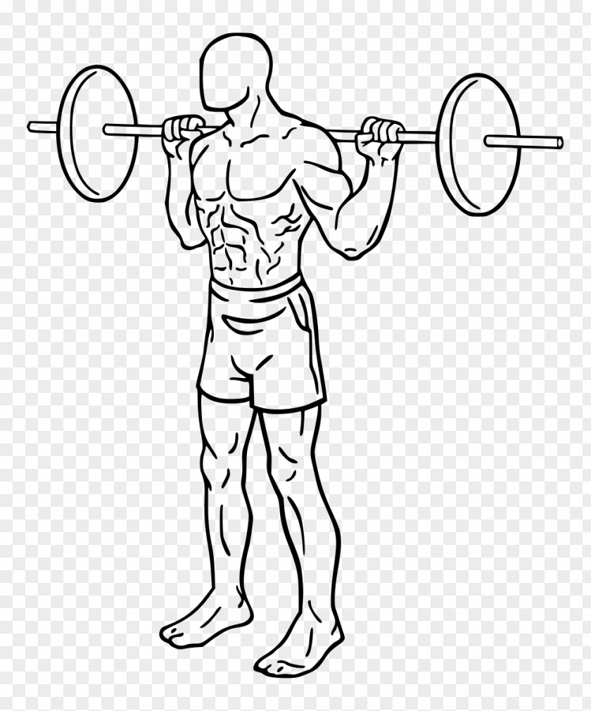 Barbell Weight Training Squat Olympic Weightlifting Exercise Strength PNG
