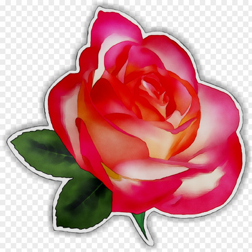 Clip Art Rose Desktop Wallpaper Image PNG
