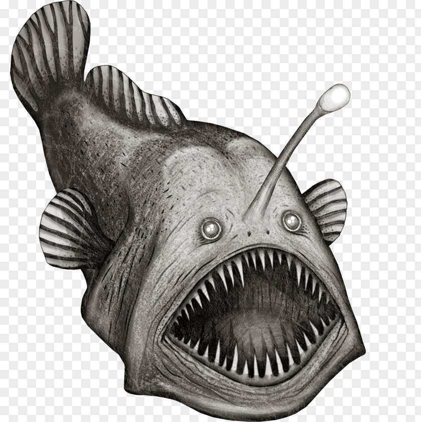 Fish Clip Art Anglerfish Deep Sea Illustration PNG