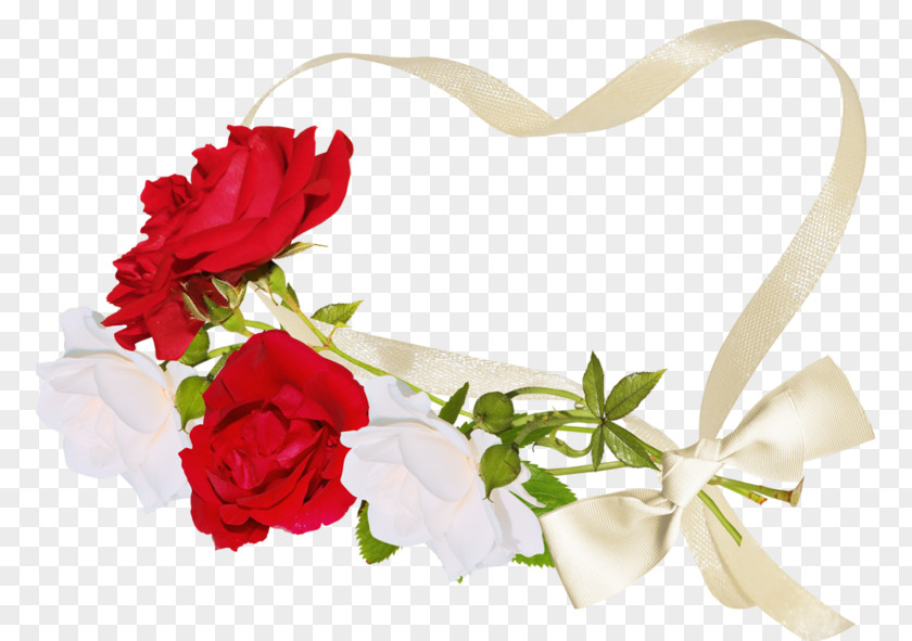 Garden Roses Belye Rozy Baltosios Rožės Rosa × Alba Clip Art PNG