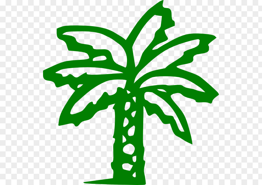 Green Tree Arecaceae Clip Art PNG