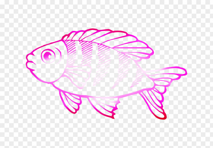 Saltwater Fish Coloring Book Deep Sea Creature Ocean PNG
