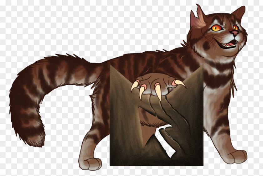 Tiger Whiskers Cat Fur PNG