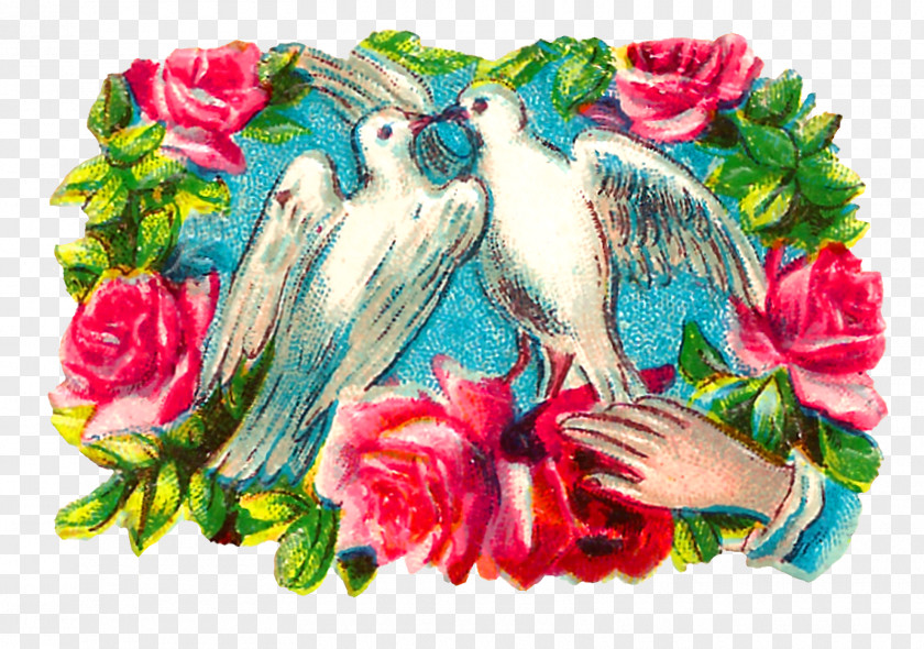 Bird Floral Design Columbidae Clip Art PNG