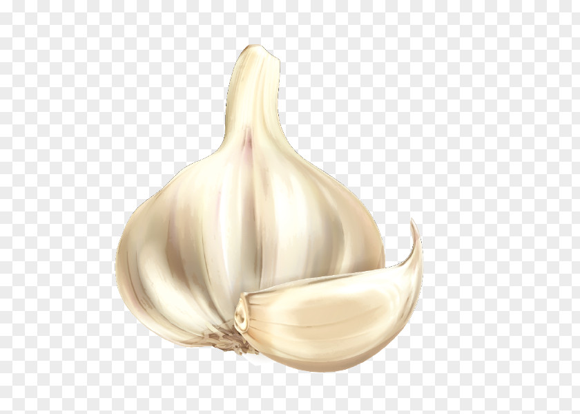 Cartoon Garlic Vegetable PNG