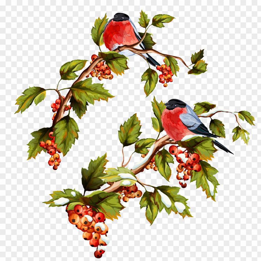Flowers And Birds Do Not Pull The Vector Royalty-free Shutterstock Illustration PNG