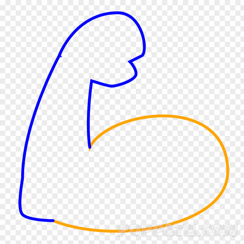 Muscles Emoji Drawing Arm Biceps Clip Art PNG